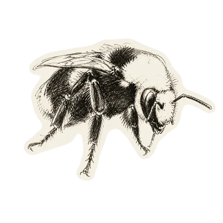 Technical ink study of a bee
